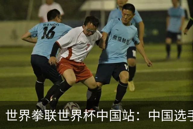 世界拳联世界杯中国站：中国选手斩获5金
