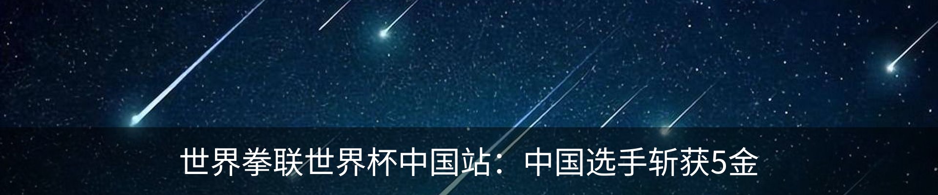 最新动态